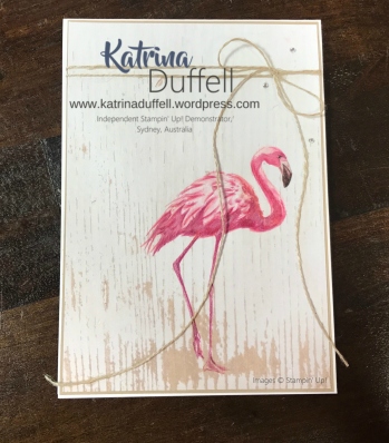 27.05.2017 Fabulous Flamingo Wood 04